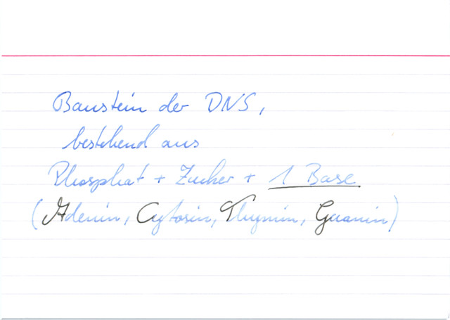 Was ist ein Nukleotid?