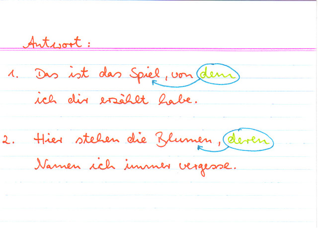 Schreibe zwei Sätze mit einem Relativpronomen!
