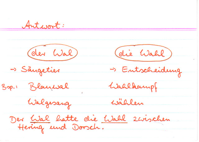 Wal und Wahl