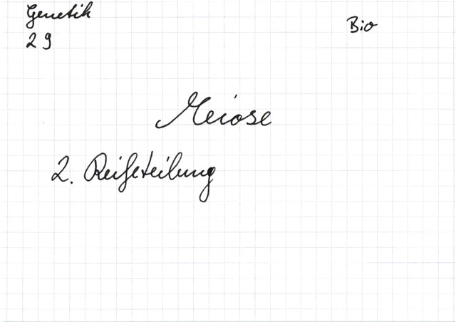 Meiose: 2. Reifeteilung