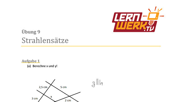 MSA Mathe Arbeitsblatt für Lektion 9
