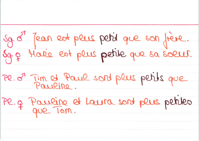 Beispiel petit