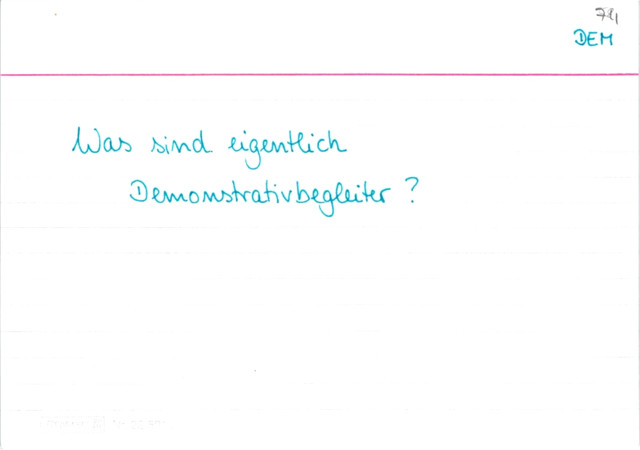 Demonstrativbegleiter