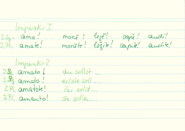 Wie heißen die Infinitive?