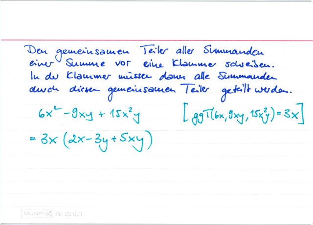 Was bedeutet "ausklammern"?