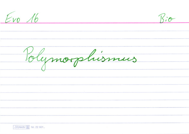 Polymorphismus