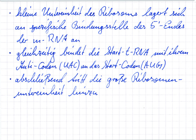 Verlauf der Translation - 1. Initialisierung