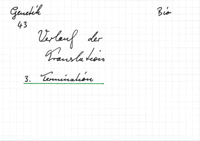 Verlauf der Translation - 3. Termination