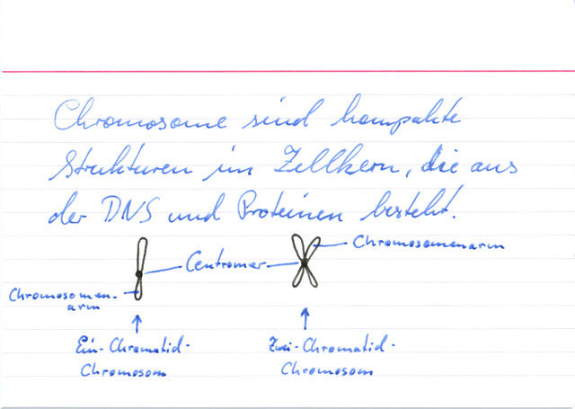 Was ist ein Chromosom?