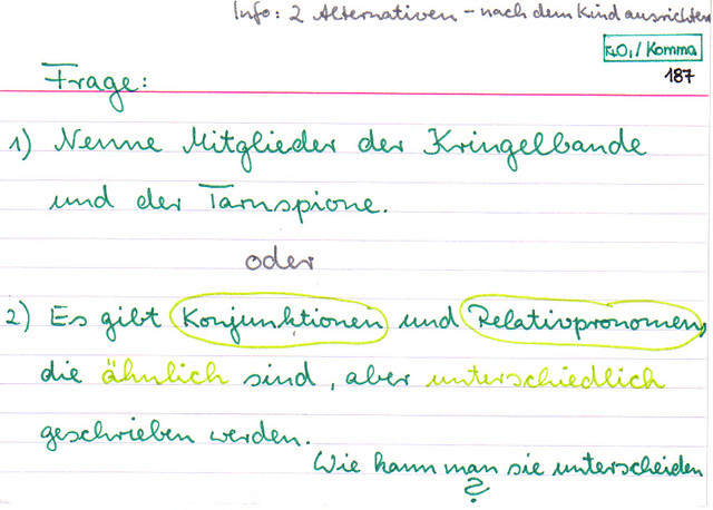 Mitglieder der Kringelbande und der Tarnspione