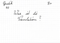 Was ist die Translation?