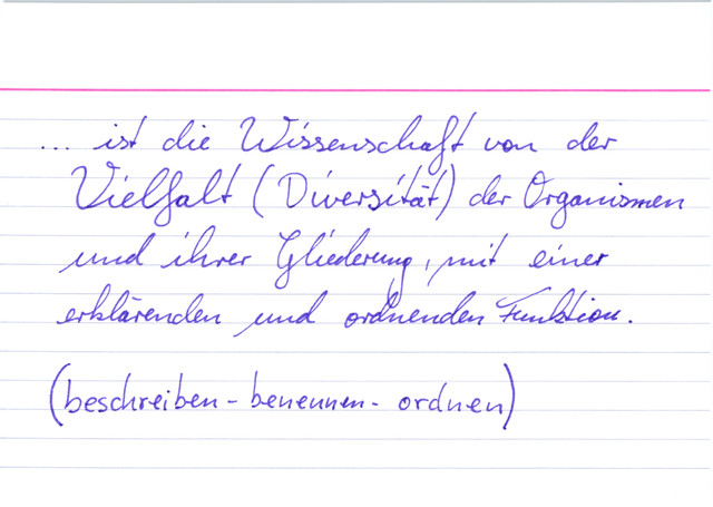 Was versteht man unter Systematik?
