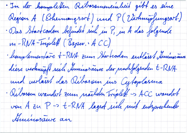 Verlauf der Translation - 2. Elongation