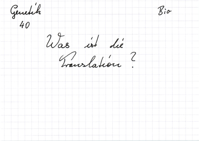 Was ist die Translation?