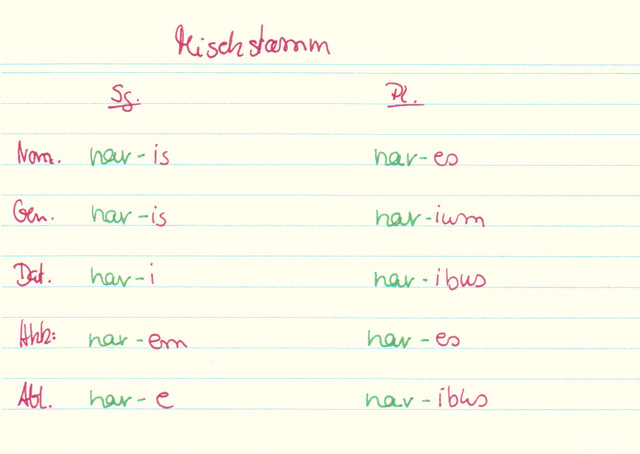 Dekliniere "navis"!