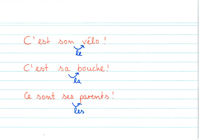 Beispiel Possesivbegleiter