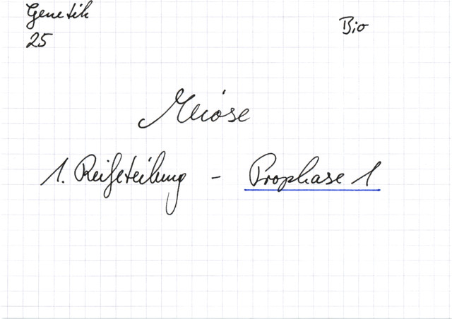 Meiose: 1. Reifeteilung - Prophase 1
