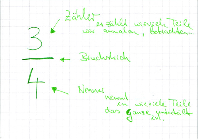Komponenten eines Bruchs