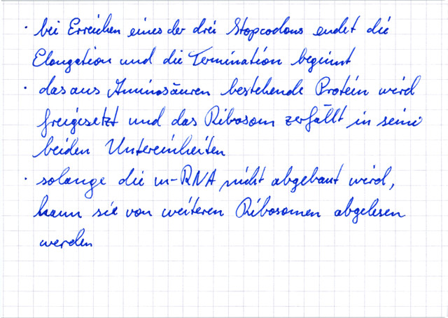 Verlauf der Translation - 3. Termination