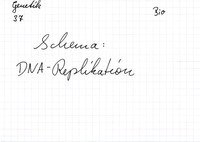 Schema: DNA-Replikation