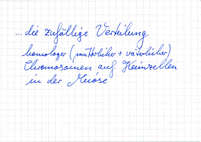 Was versteht man unter interchromosomaler Rekombination?