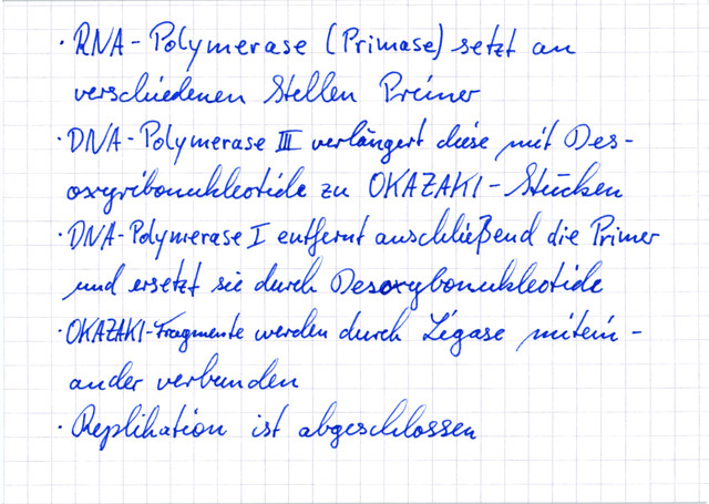 Replikation - Folgestrang