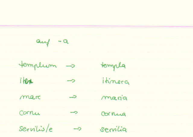 Wie endet der Plural Nominativ eines Neutrums?