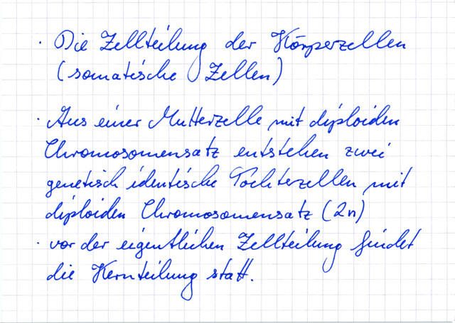 Was ist die Mitose?