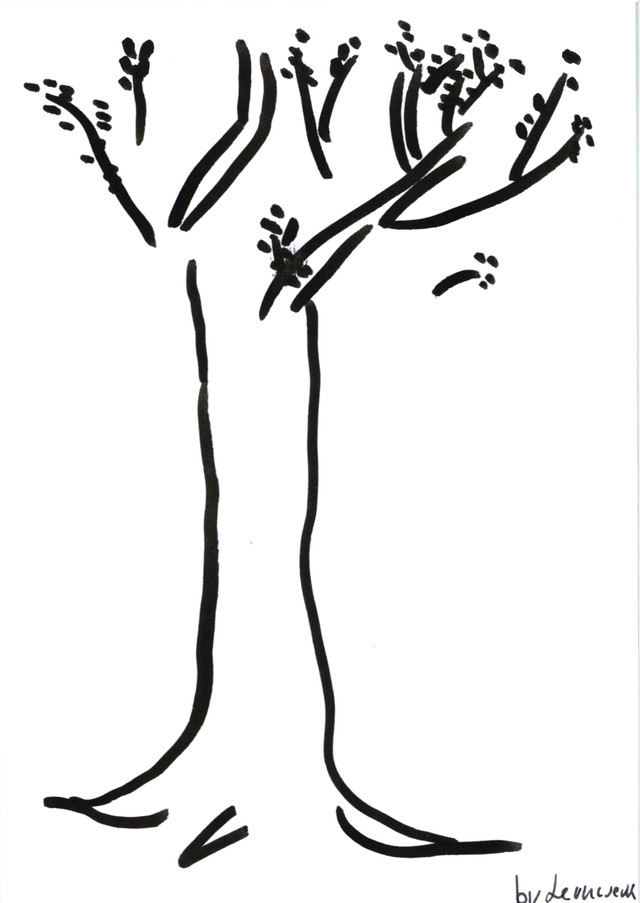 Baum