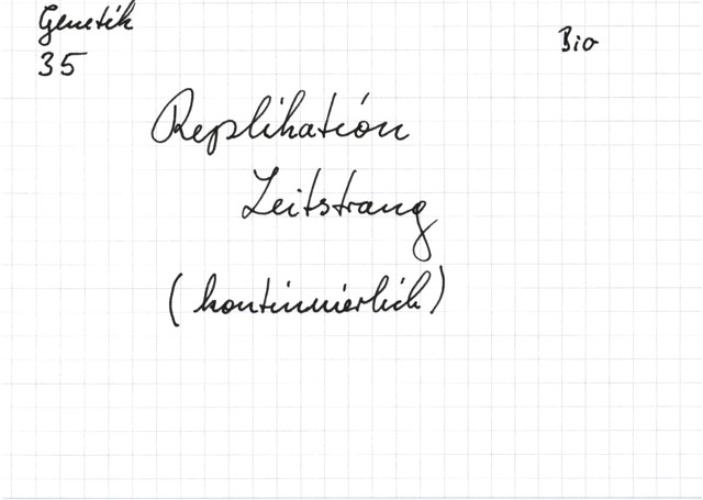 Replikation - Leitstrang