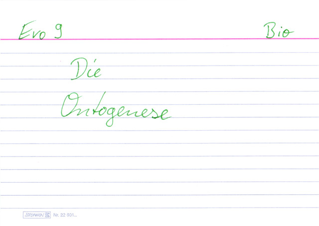 Die Ontogenese