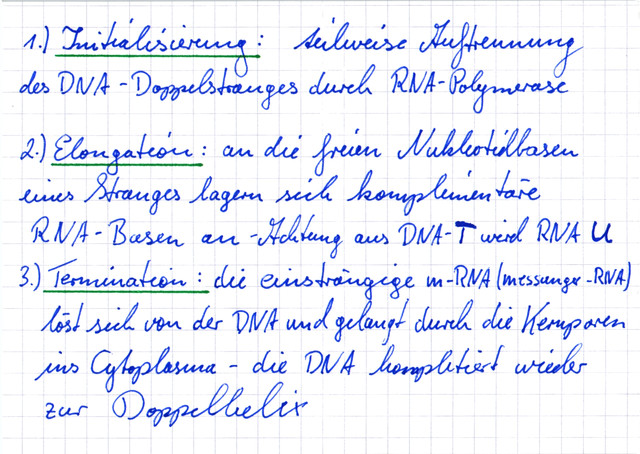 Verlauf der Transkription