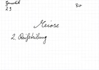 Meiose: 2. Reifeteilung