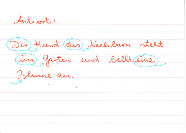 Bilde einen Satz mit einem bestimmten, einem unbestimmten und einem versteckten Artikel!
