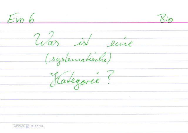 Was ist eine (systematische) Kategorie?