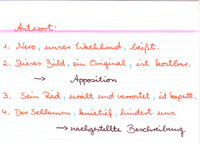 Hier fehlen Kommas! Wo und Warum?