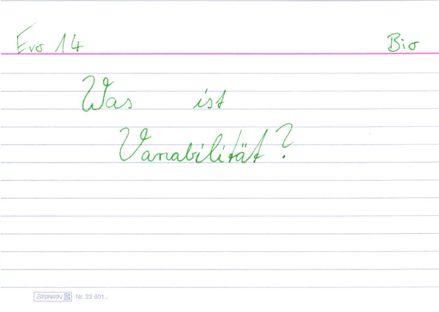 Was ist Variabilität?