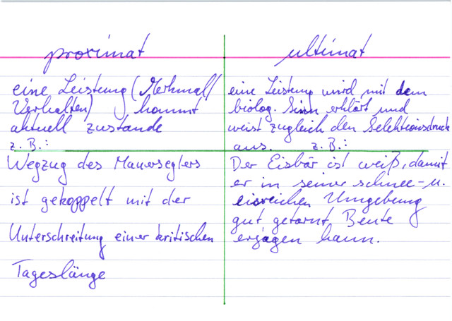 Ursachen der Ausbildung neuer Merkmale