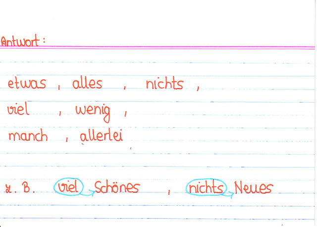 Nenne die Indefinitpronomen, die du kringeln musst!