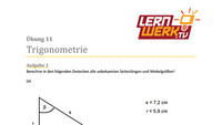 MSA Mathe Arbeitsblatt für Lektion 11
