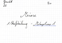 Meiose: 1. Reifeteilung - Metaphase 1
