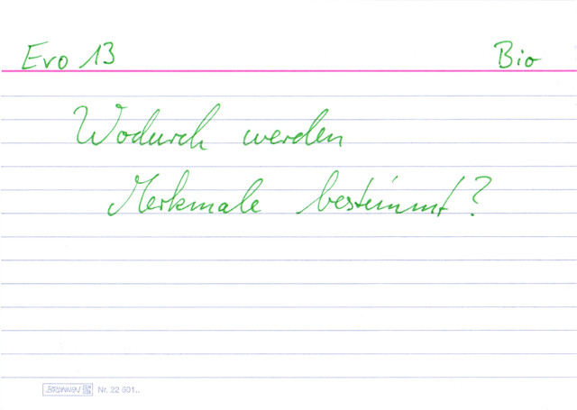 Wodurch werden Merkmale bestimmt?