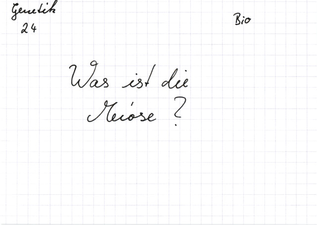 Was ist die Meiose?