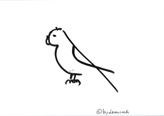 Vogel