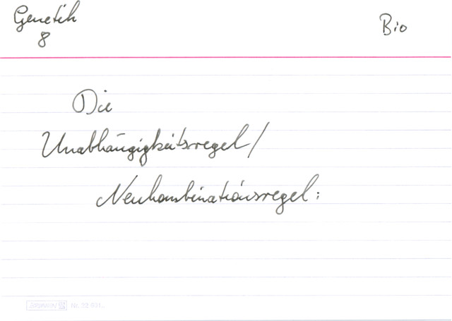 Die Unabhängiskeitsregel / Neukombinationsregel