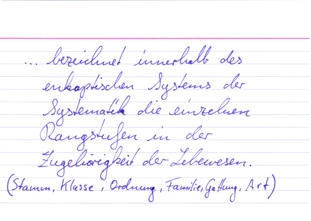 Was ist eine (systematische) Kategorie?