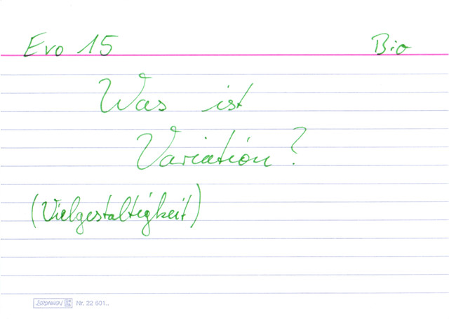 Was ist Variation (Vielgestaltigkeit)?