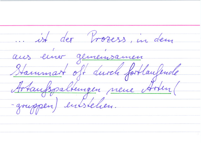 Was bedeutet Stammesgeschichte/ Phylogenie ?